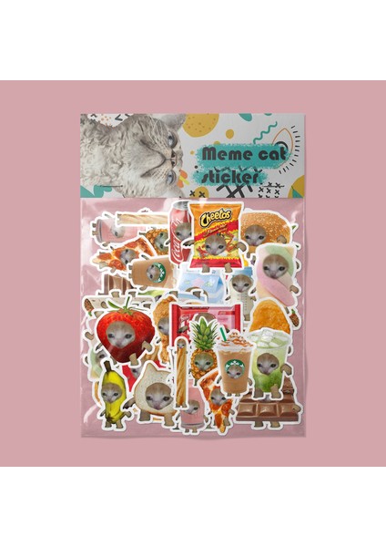Şapşal Kedi Sticker Paketi -Bullet Journal - Ajanda - Planner - Defter - Laptop Etiket Çıkartma Çok Renkli 10 x 15 Paket Boyutu 3 x 5 cm Stickerlar Paket Içeriği 25 Adet Dadi Ramba Sticker