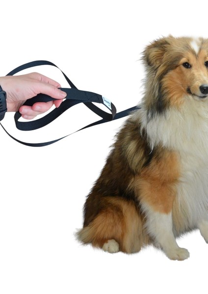 150 Cm, Köpek Gezdirme Ipi, Köpek Gezdirme Kayışı ,mr. Lucky Pets