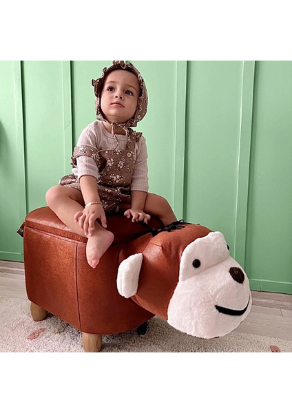 Maymun Sandıklı Puf Modelleri