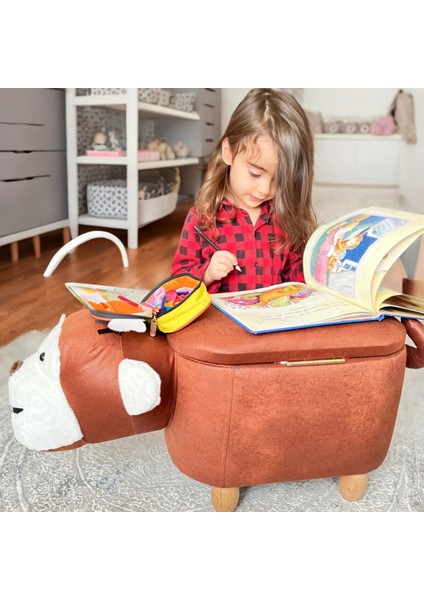 Maymun Sandıklı Puf Modelleri