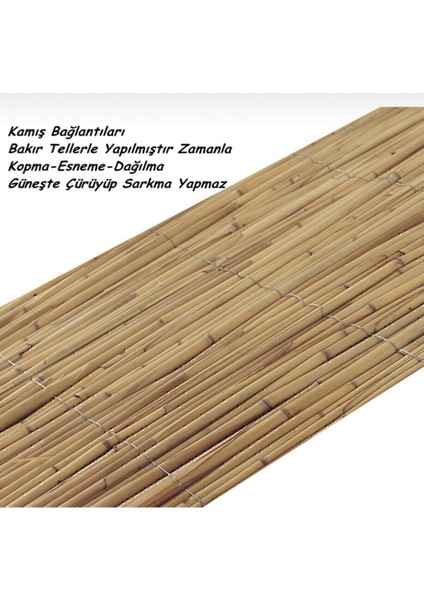 Kamış Çit Bambu Hasır Yükseklik 2,00 Metre En 5,00 Metre Doğal Kamış Gölgelik 2x5 Metre Turkuaz Tek Ebat 500 x 200