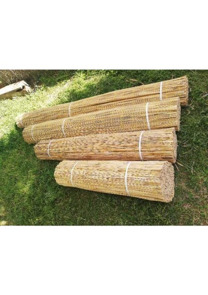 Sarı Kamış Hasır Bambu Çit 1m x 5m Plastik 100 x 500 Sarı Tek Ebat 100 x 500