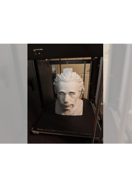 Albert Einstein Kulaklıkstandı