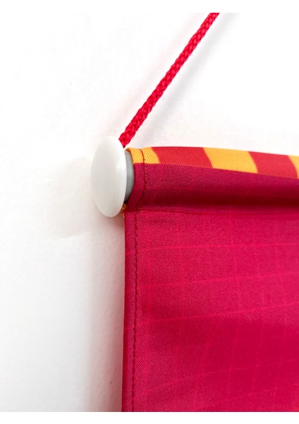 Saten Kumaş Poster (50X70 Cm) Şampiyon Galatasaray Temalı modelleri