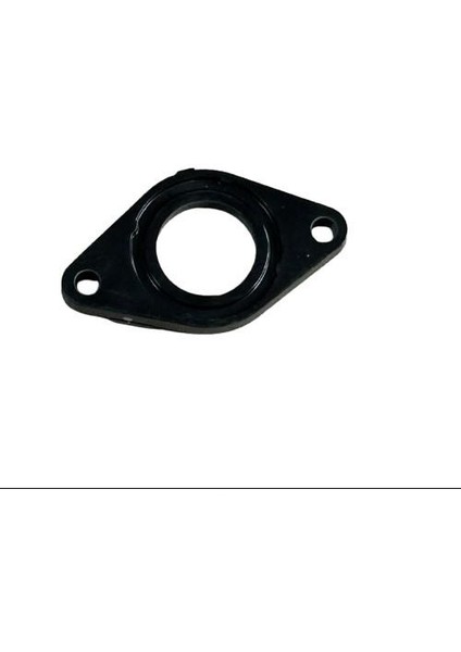 Raider 125 Manifold Fiberi Orijinal