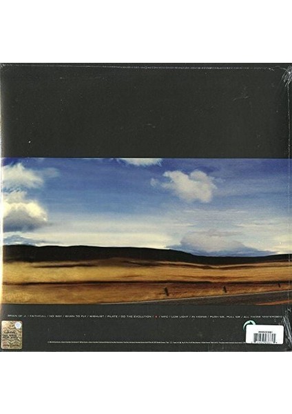 Pearl Jam Yield Lp Plak