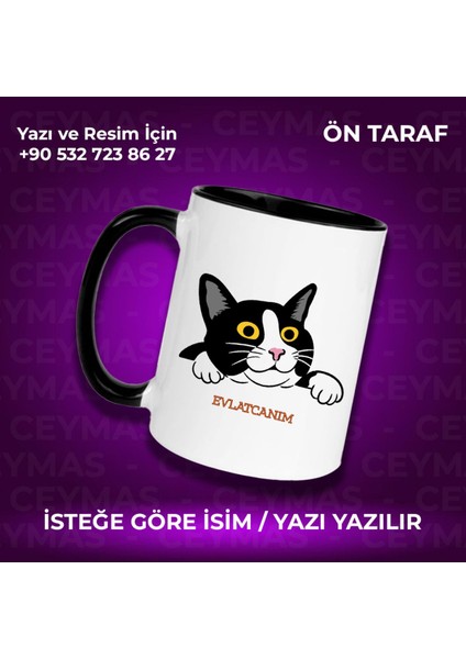Kişiye Özel Isim Baskılı Siyah Beyaz Kedili Renkli Kupa Bardak