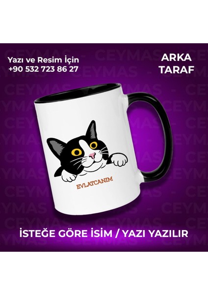 Kişiye Özel Isim Baskılı Siyah Beyaz Kedili Renkli Kupa Bardak fiyatları