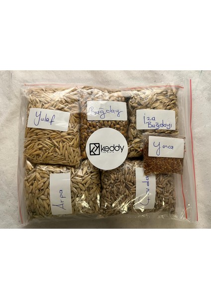 Premium 6'li Kedi Çimi Tohumu -100 gr (Buğday - Çavdar - Arpa - Yulaf - Yonca - Iza Buğdayı)