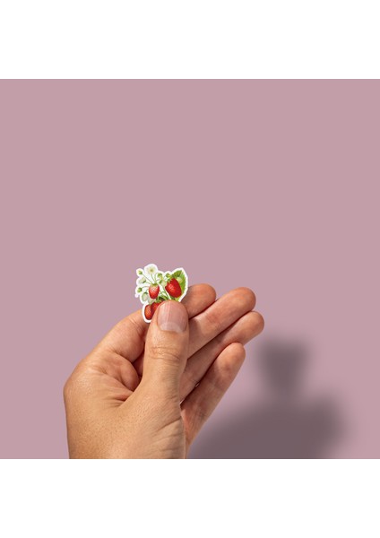 Çilek Kız Strawberry Girl Sticker Paketi -Bullet Journal- Ajanda-Planner - Defter - Laptop Etiket Çıkartma Çok Renkli 10 x 15 Paket Boyutu 3 x 5 cm Stickerlar Paket Içeriği 25 Adet Dadi Ramba Sticker