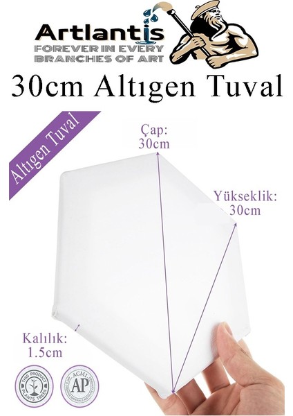 Altıgen Tuval 30 cm 3 Adet Arkadan Zımbalı Astarlı Resim Tuvali Akrilik Boya Yağlı Boya Altıgen Şekil Tuval Ressam Sanat