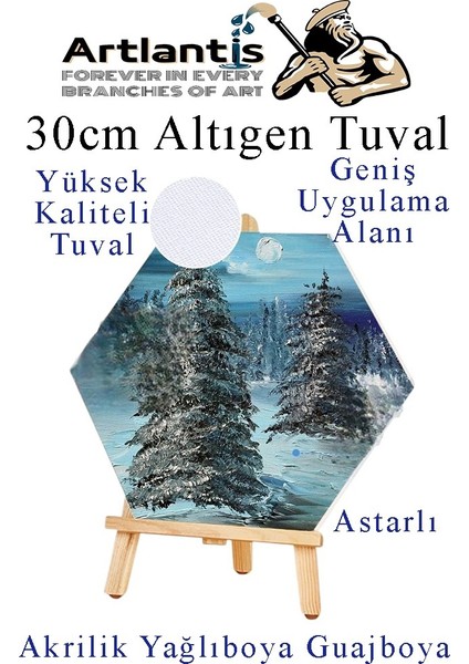 Altıgen Tuval 30 cm 3 Adet Arkadan Zımbalı Astarlı Resim Tuvali Akrilik Boya Yağlı Boya Altıgen Şekil Tuval Ressam Sanat