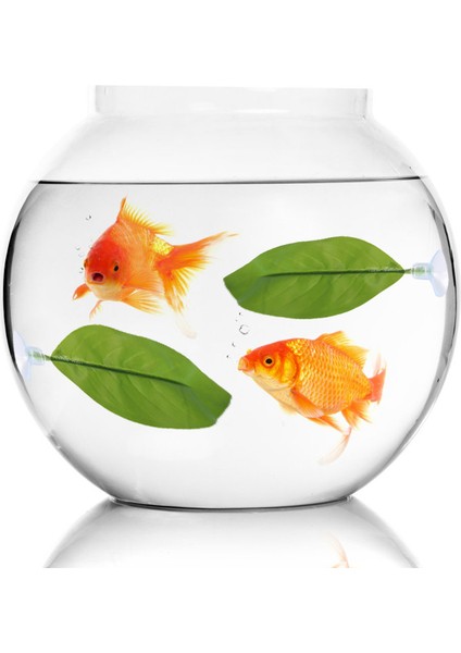 Yapay Bitki Yaprak Betta Hamak Balık Istirahat Yatak Akvaryumlar Kaynağı Bırakır (Yurt Dışından) fiyatları