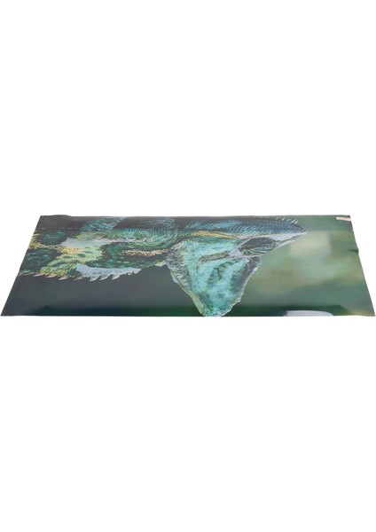 Akvaryum Arka Plan Pvc 3D Efektleri Çok Amaçlı Balık Tankı Dekorasyon Resim Balık Tankı AQUASCAPE61X30CM/24.0X11. 8in (Yurt Dışından)