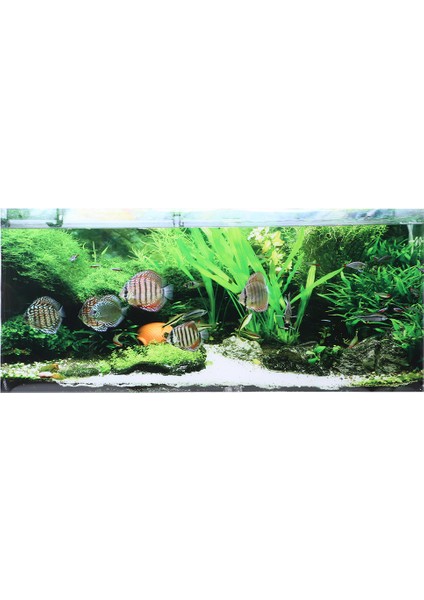 Pvc Yapışkanlı Deniz Dibi Küçük Balık Su Bitkileri Akvaryum Arka Plan Posteri Sticker Balık Tankı DECORATION122X50CM (Yurt Dışından)