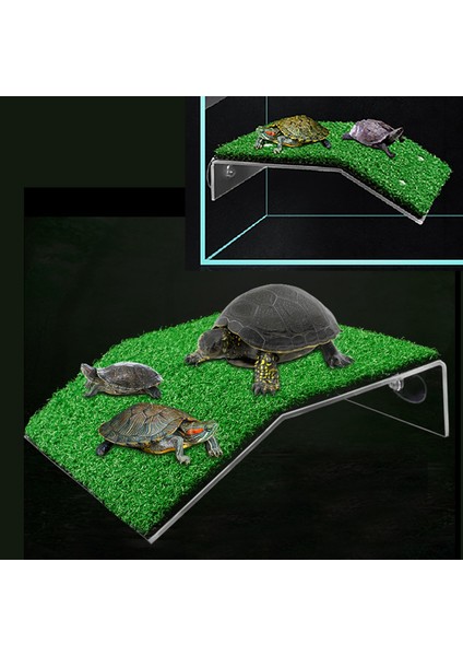 Kaplumbağa Rampası Kaplumbağa Güneşlenme Platformu Kaplumbağa Rampası Sürüngen Merdiveni Dinlenme Terası Akvaryum Balık Tankı (Yurt Dışından) fırsatları