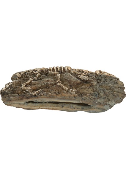 Dinozor Fosili Akvaryum Dekorasyon Reçine Sürüngen Süs Akvaryum Hayvan Zanaat Balık Tankı Dekor (Yurt Dışından)