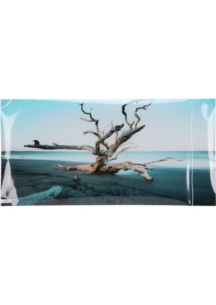 Akvaryum Arka Plan Dekor Gökyüzü Solmuş Ağaç 3D Pvc Kendinden Yapışkanlı Balık Tankı Akvaryum Balıkları Için Duvar Kağıdı TANK122X50CM / 48X19. 7in (Yurt Dışından)