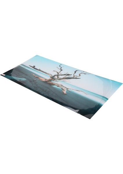 Akvaryum Arka Plan Dekor Gökyüzü Solmuş Ağaç 3D Pvc Kendinden Yapışkanlı Balık Tankı Akvaryum Balıkları Için Duvar Kağıdı TANK122X50CM / 48X19. 7in (Yurt Dışından) indirimleri
