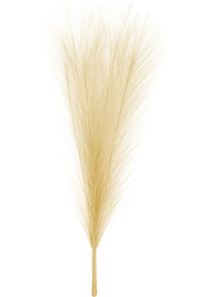 Dekoratif Tüy - Krem - 44 cm fiyatları