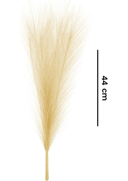 Dekoratif Tüy - Krem - 44 cm fırsatları