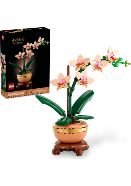 Botanicals Mini Orkide 10343 - Açık Renkli Terakota Saksı ve Ahşap Efektli Kaide Içeren Yetişkin Kadın ve Erkekler Için Dekoratif Çiçek Yapım Seti, Ev ve Ofis Dekorasyonu Hediye Fikri (274 Parça)