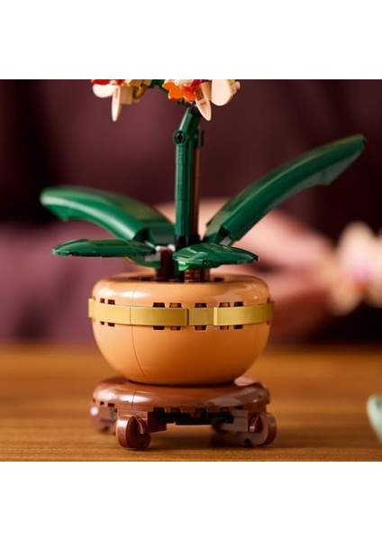 Botanicals Mini Orkide 10343 - Açık Renkli Terakota Saksı ve Ahşap Efektli Kaide Içeren Yetişkin Kadın ve Erkekler Için Dekoratif Çiçek Yapım Seti, Ev ve Ofis Dekorasyonu Hediye Fikri (274 Parça)