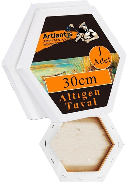 Kare Yuvarlak ve Altıgen Tuval 30 cm 2 Li 1 Paket 30X30 cm Arkadan Zımbalı Astarlı Resim Tuvali Akrilik Yağlı Boya