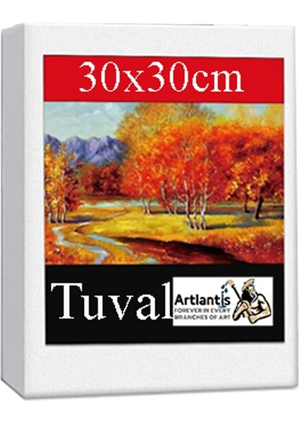 Kare Yuvarlak ve Altıgen Tuval 30 cm 2 Li 1 Paket 30X30 cm Arkadan Zımbalı Astarlı Resim Tuvali Akrilik Yağlı Boya