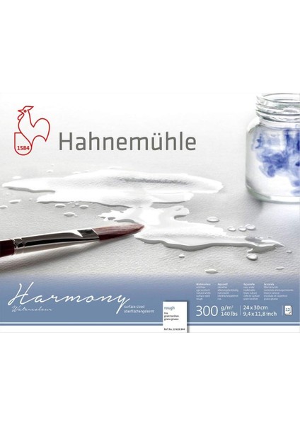 10 628 844 Hahnemühle Harmony Rough 24X30