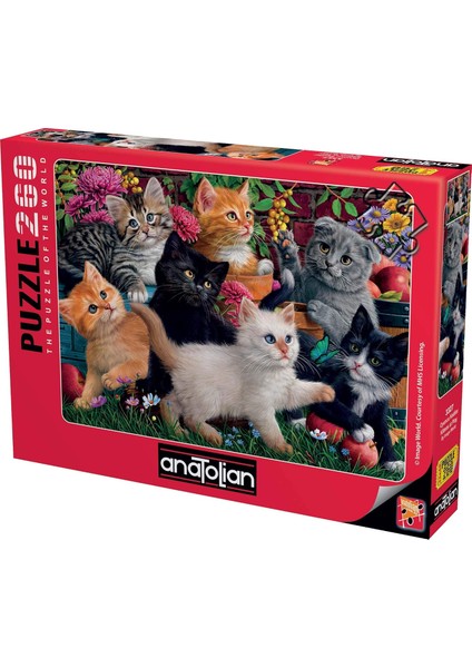 Puzzle - Oyuncu Kediler / 260 Parça, #3327