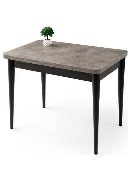 Gonca Kaşıklıklı Retro Gümüş Açılır 100X65 Masa (Açılımış Ölçüsü 100X130)