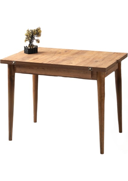 Kıvılcım Diş Budak Desen Açılır 100X65 Masa (Açılımış Ölçüsü 100X130)