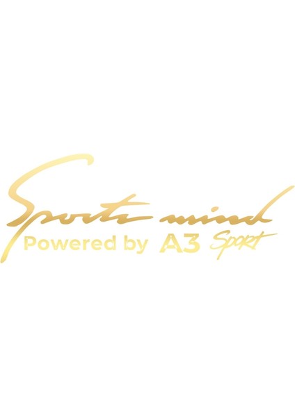 Sports Mind Audi A3 Sports Sticker 17X17 cm Gold