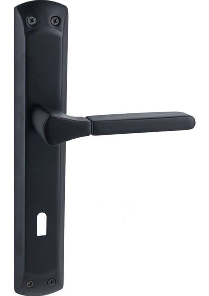 Arpat Arya Grand Lüx Alüminyum Kapı Kolu Mat Siyah Oda