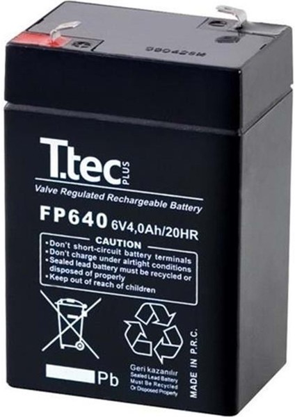 Ttec 6V4AH/20HR Akü