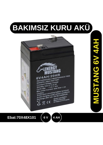 6 Volt 4 Amper Bakımsız Kuru Akü 6V 4 Ah