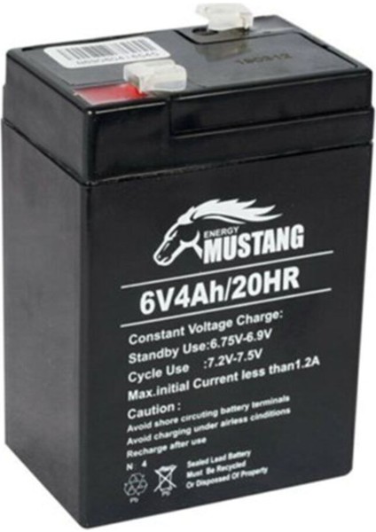 6 Volt 4 Amper Bakımsız Kuru Akü 6V 4 Ah