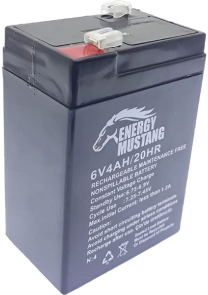 6 Volt 4 Amper Bakımsız Kuru Akü 6V 4 Ah