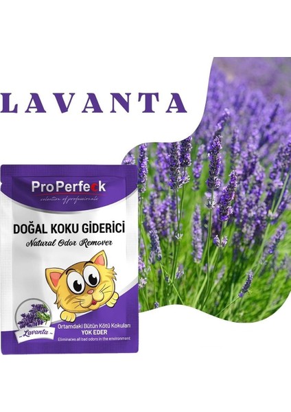 Fırsat Byr Pro Perfeck Lavanta Kokulu Koku Giderici 25 gr Yeni