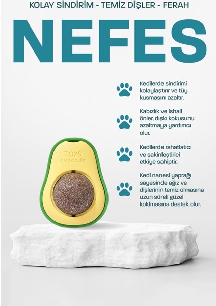Organik Kedi Çimi Kedi Nanesi Otu Kedi Oyun Topu Avokado Kedi Otu Çimi Catnip Yavru Kedi Oyuncakları