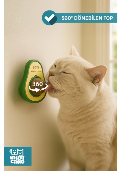 Organik Kedi Çimi Kedi Nanesi Otu Kedi Oyun Topu Avokado Kedi Otu Çimi Catnip Yavru Kedi Oyuncakları
