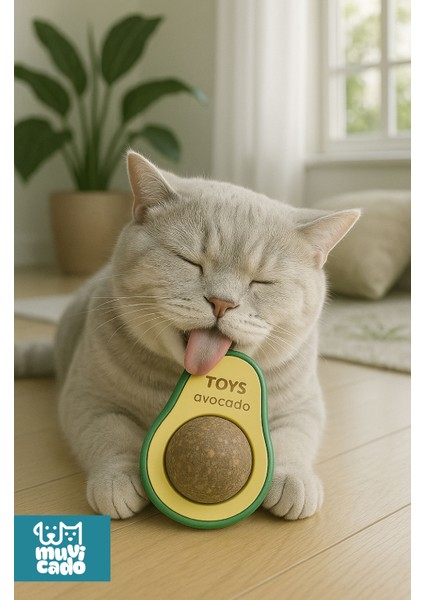 Organik Kedi Çimi Kedi Nanesi Otu Kedi Oyun Topu Avokado Kedi Otu Çimi Catnip Yavru Kedi Oyuncakları