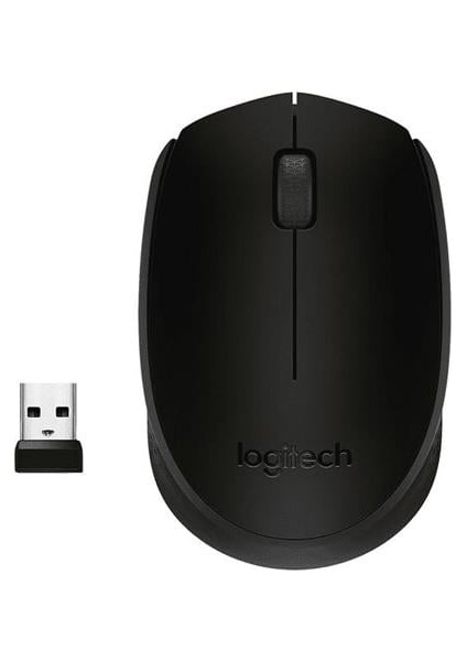 Fırsat Byr M171 Kablosuz USB Siyah Mouse Yeni