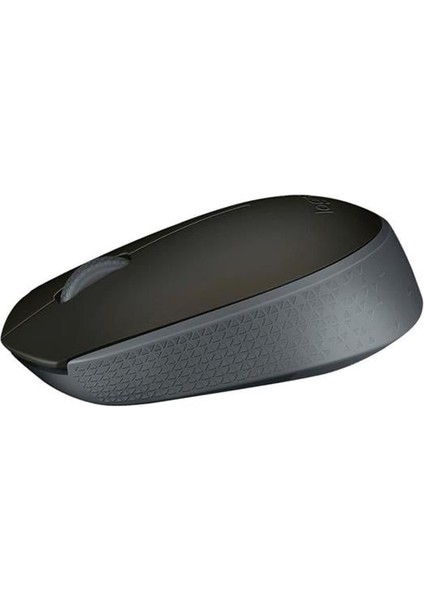 Fırsat Byr M171 Kablosuz USB Siyah Mouse Yeni