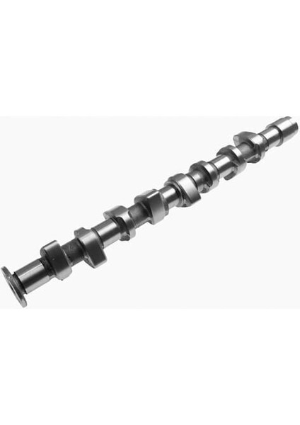 Eksantrik Mili Vag Cad2 Go3 Po3 Ibıza2 94-