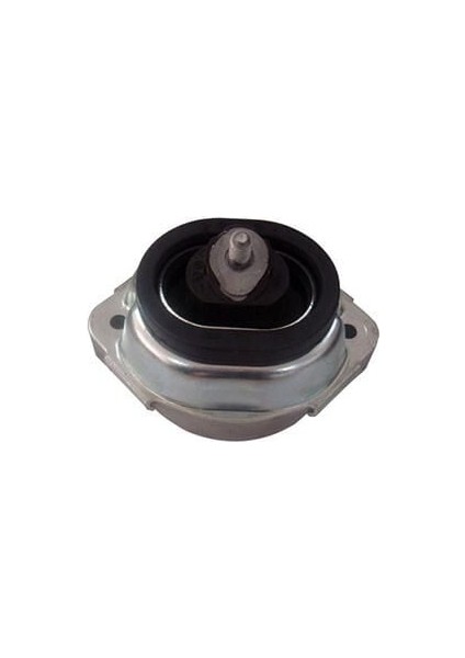 Motor Kulağı Bmw E46 53 00-07