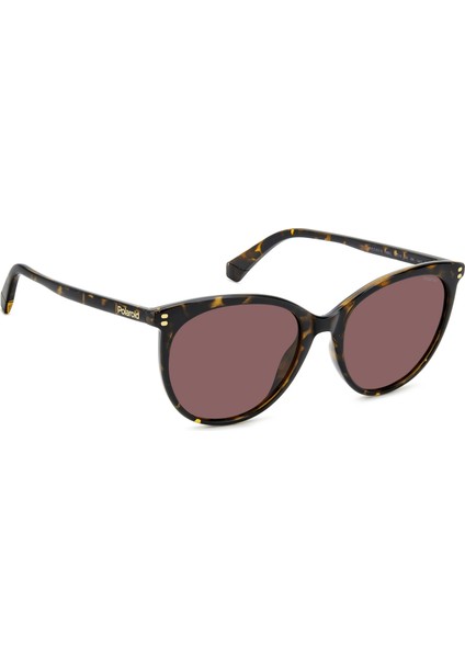 Pld 6231/S 086KL 55*18 140 Polarize Kadın Güneş Gözlüğü fiyatları