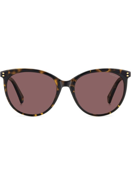 Pld 6231/S 086KL 55*18 140 Polarize Kadın Güneş Gözlüğü modelleri
