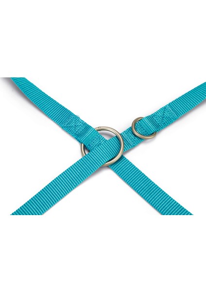 Köpek Gezdirme Kayışı, Turkuaz, 200CM, 20MM Ferrg modelleri